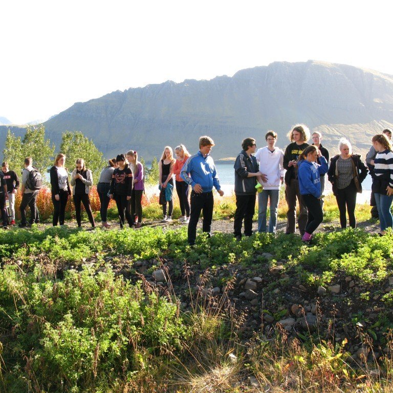 n-nema-gr-ursetning-2013-001