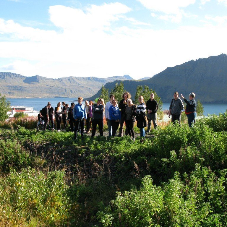 n-nema-gr-ursetning-2013-005