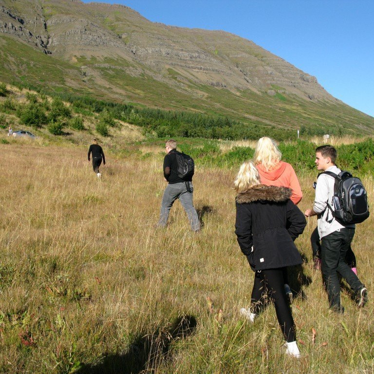 n-nema-gr-ursetning-2013-007