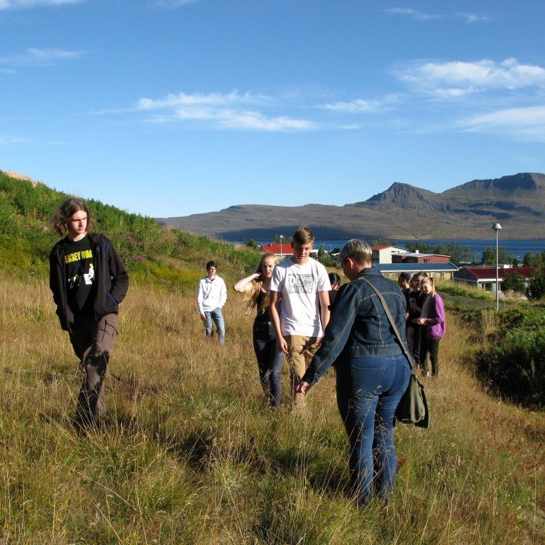 n-nema-gr-ursetning-2013-009