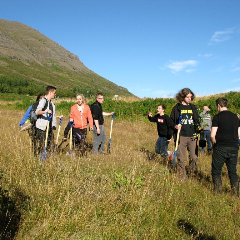 n-nema-gr-ursetning-2013-011