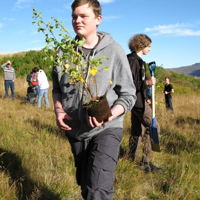 n-nema-gr-ursetning-2013-012