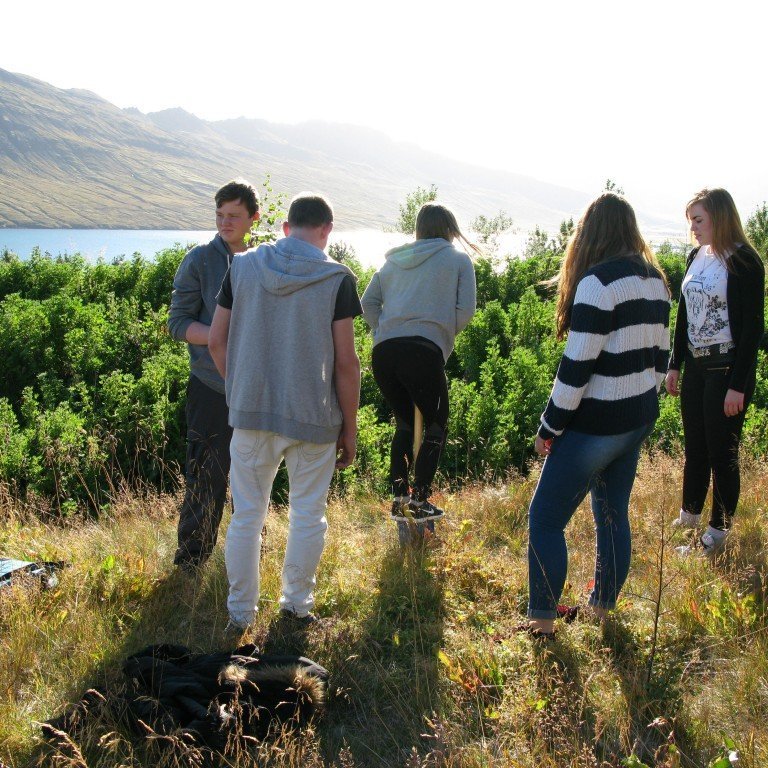 n-nema-gr-ursetning-2013-015