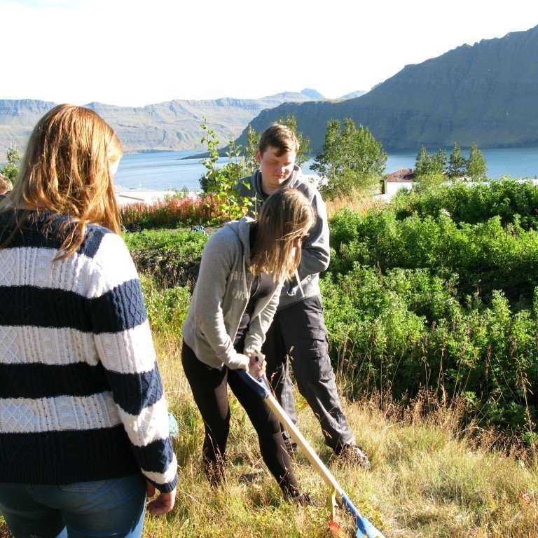 n-nema-gr-ursetning-2013-016