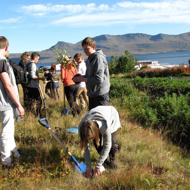 n-nema-gr-ursetning-2013-018