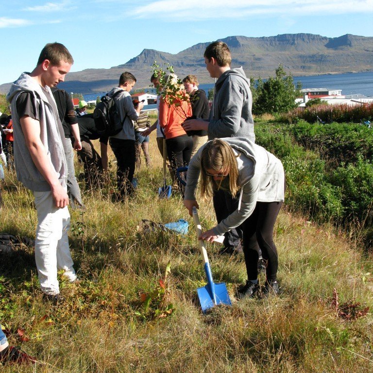 n-nema-gr-ursetning-2013-019