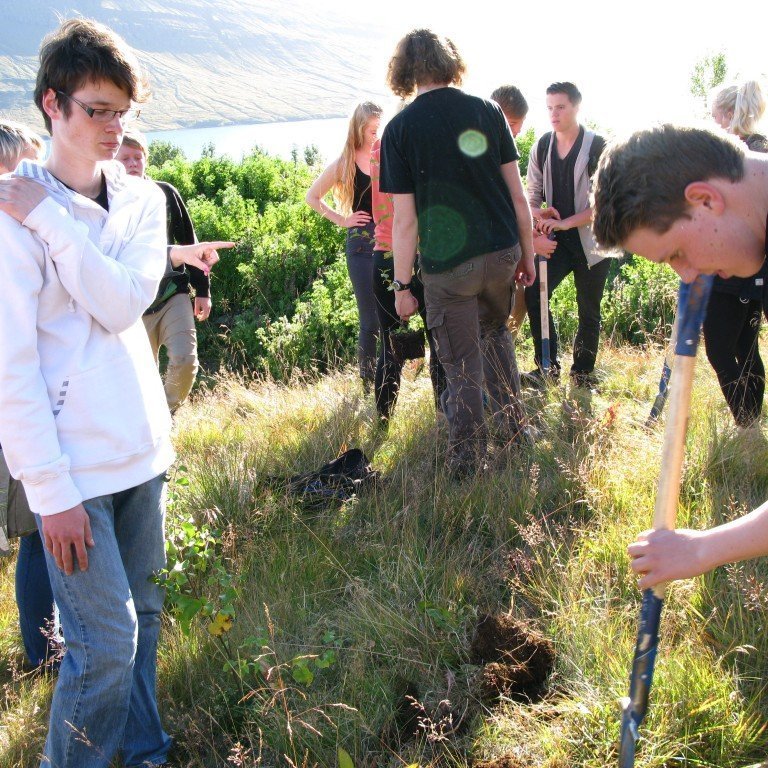 n-nema-gr-ursetning-2013-021