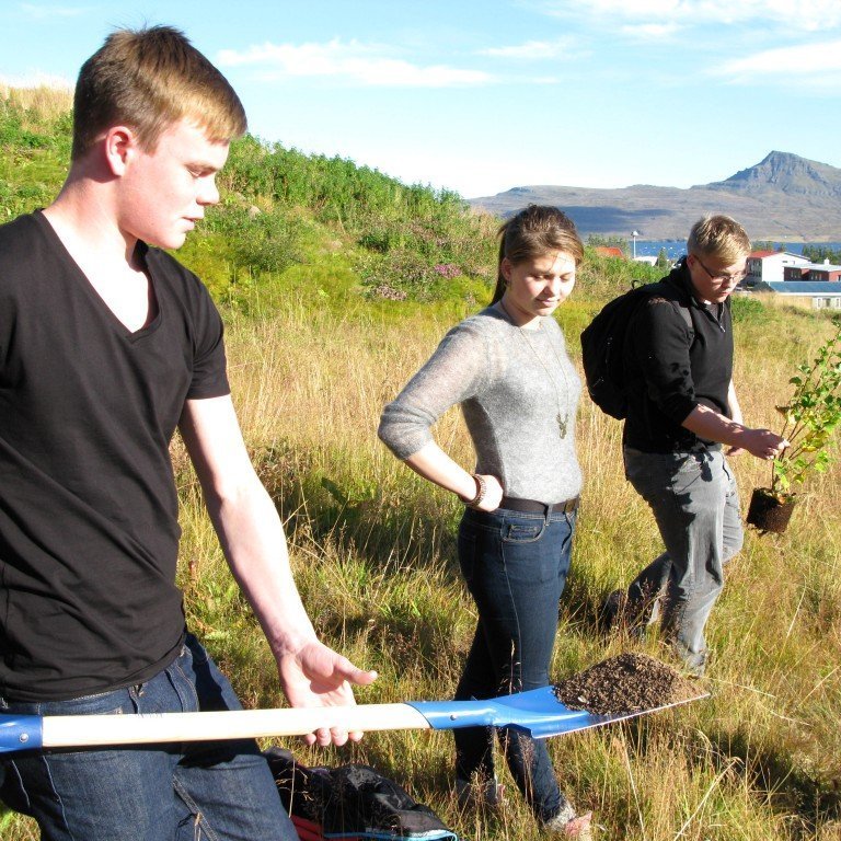 n-nema-gr-ursetning-2013-022