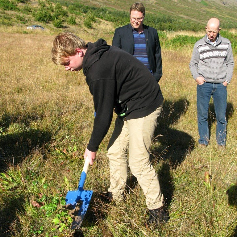 n-nema-gr-ursetning-2013-026