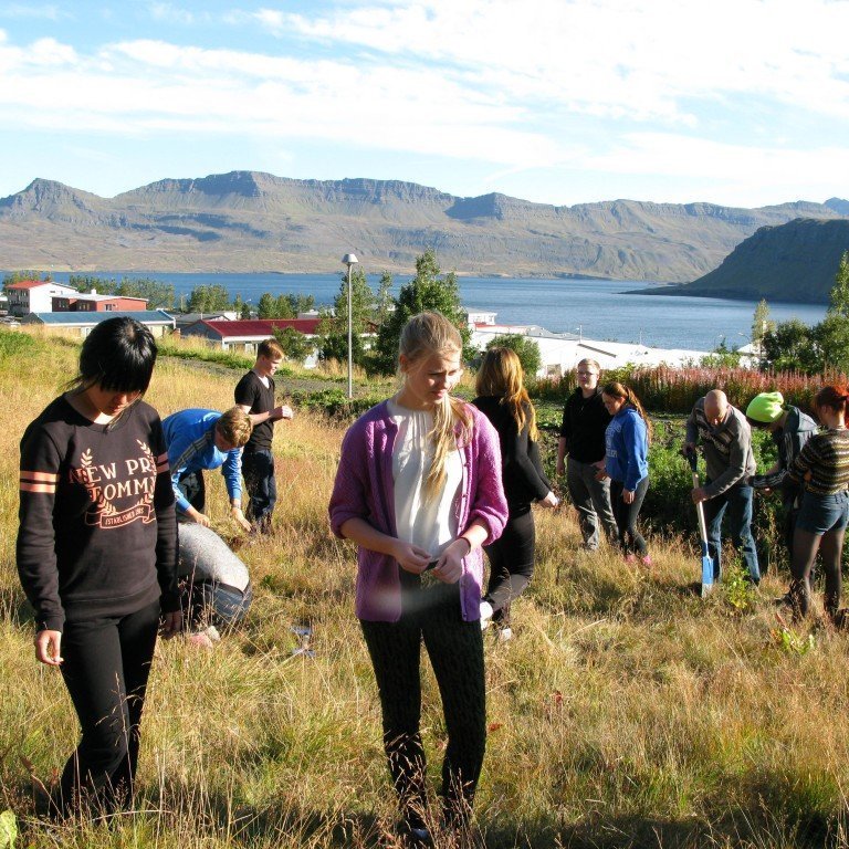 n-nema-gr-ursetning-2013-029