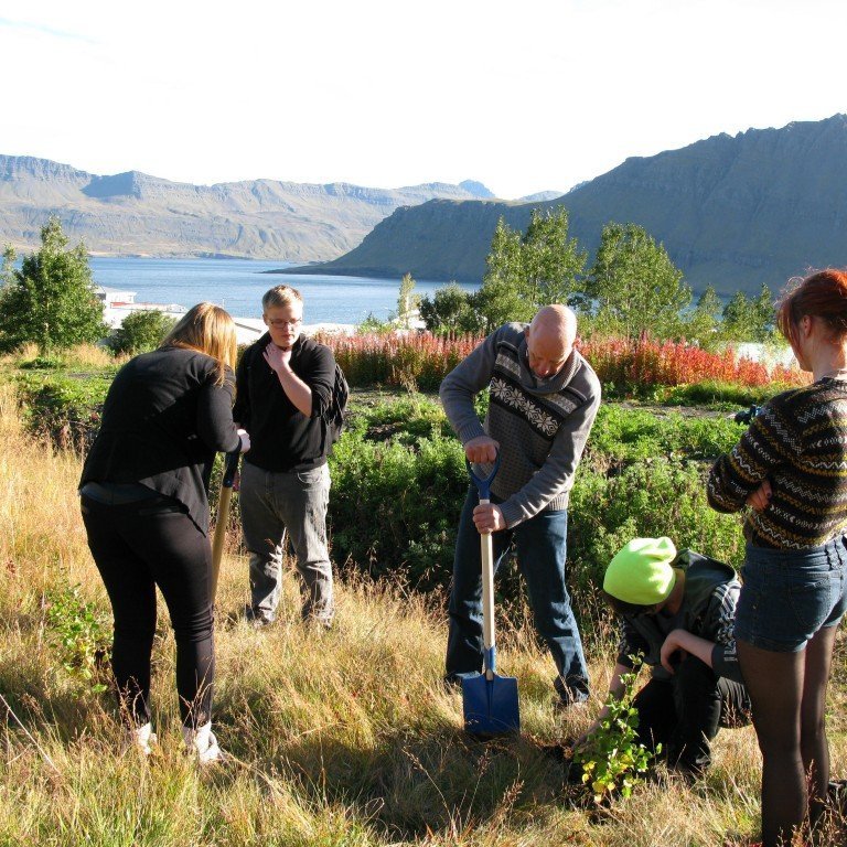 n-nema-gr-ursetning-2013-030