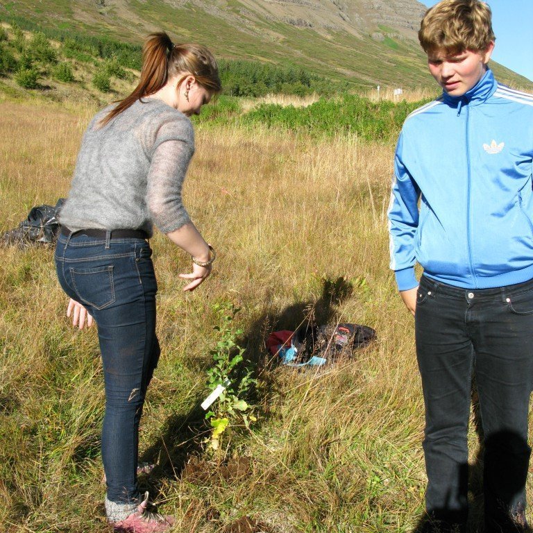 n-nema-gr-ursetning-2013-031