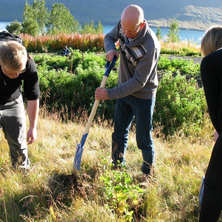 n-nema-gr-ursetning-2013-032