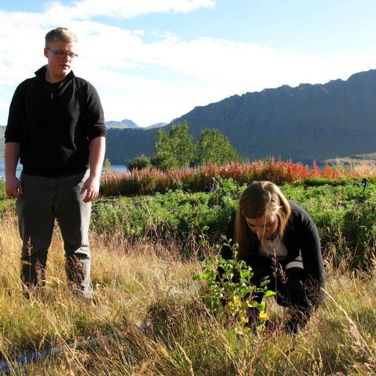 n-nema-gr-ursetning-2013-036