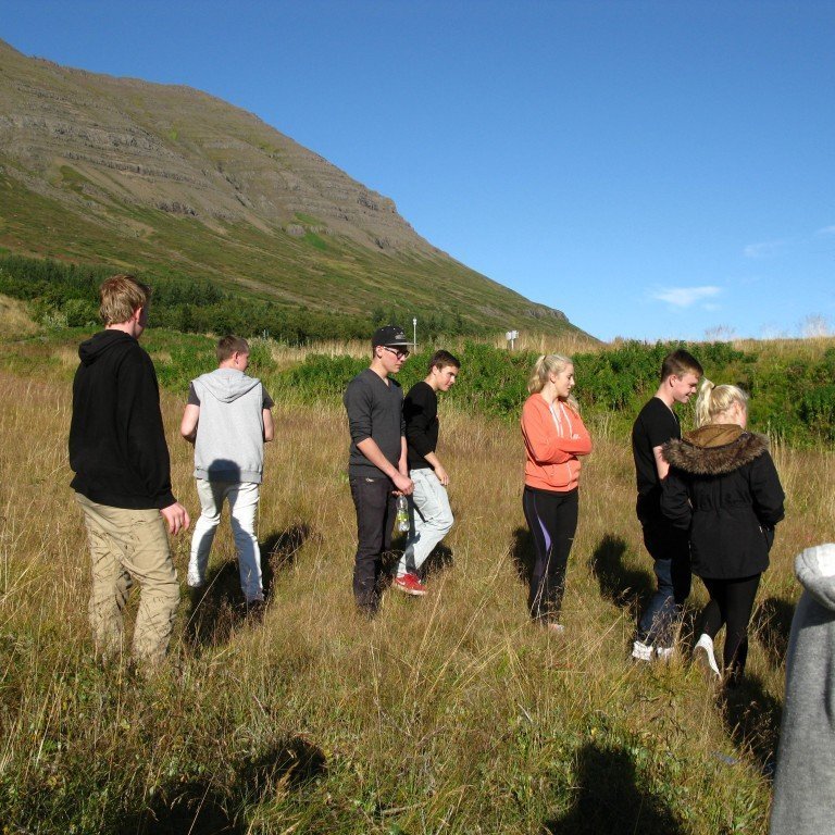 n-nema-gr-ursetning-2013-043