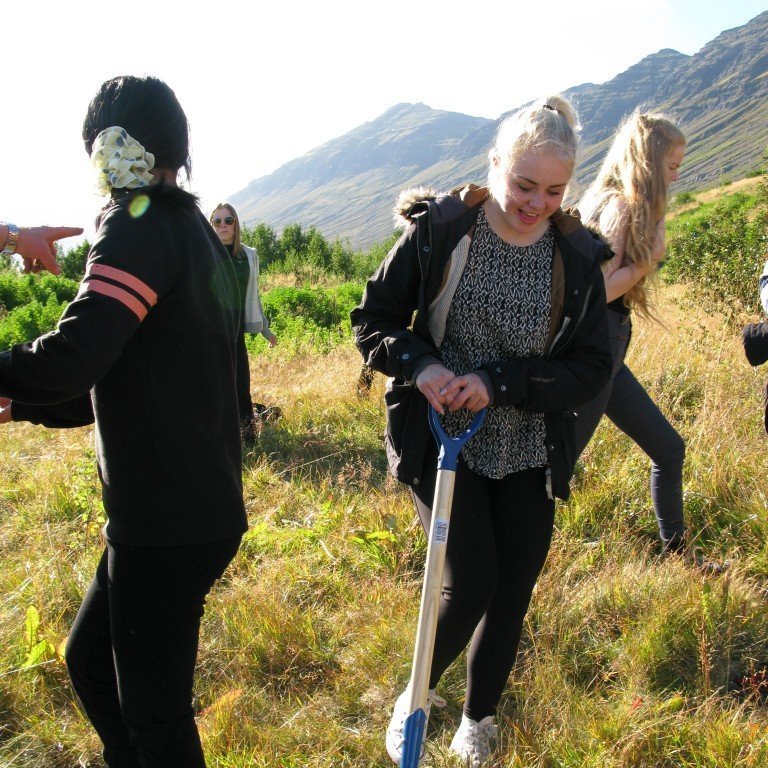 n-nema-gr-ursetning-2013-047