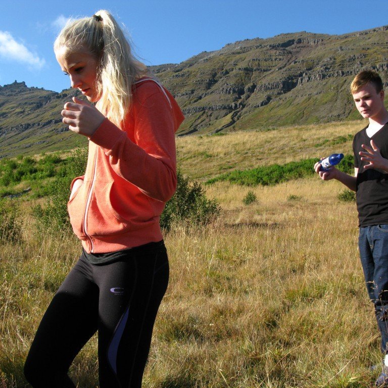 n-nema-gr-ursetning-2013-048