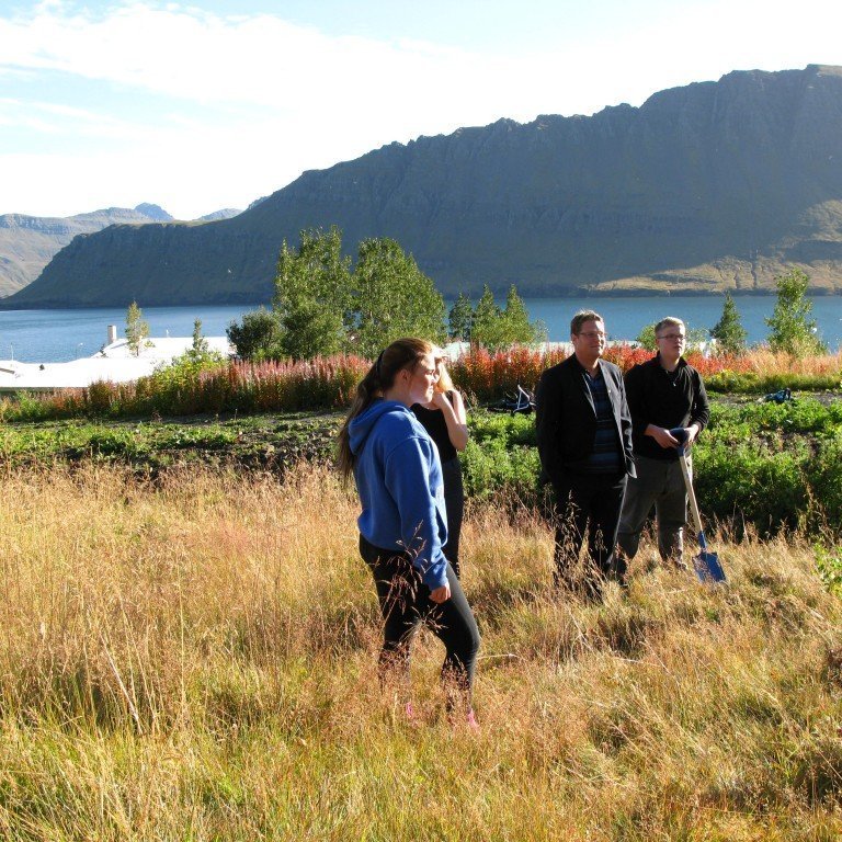 n-nema-gr-ursetning-2013-049