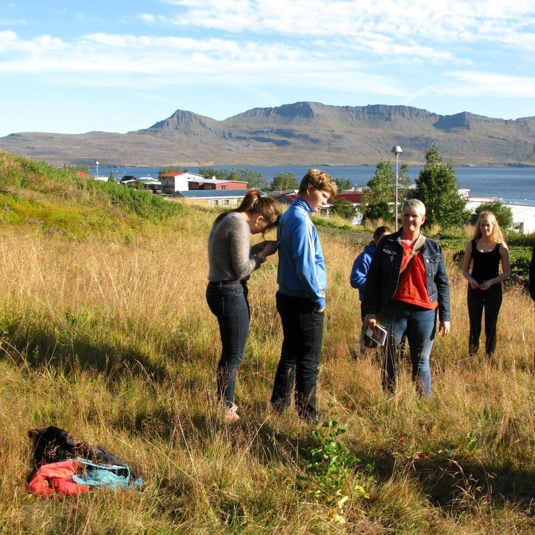 n-nema-gr-ursetning-2013-052