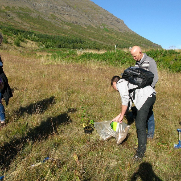 n-nema-gr-ursetning-2013-056