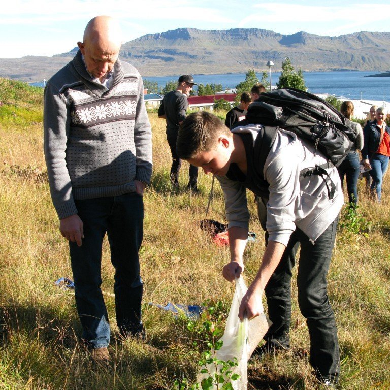 n-nema-gr-ursetning-2013-058