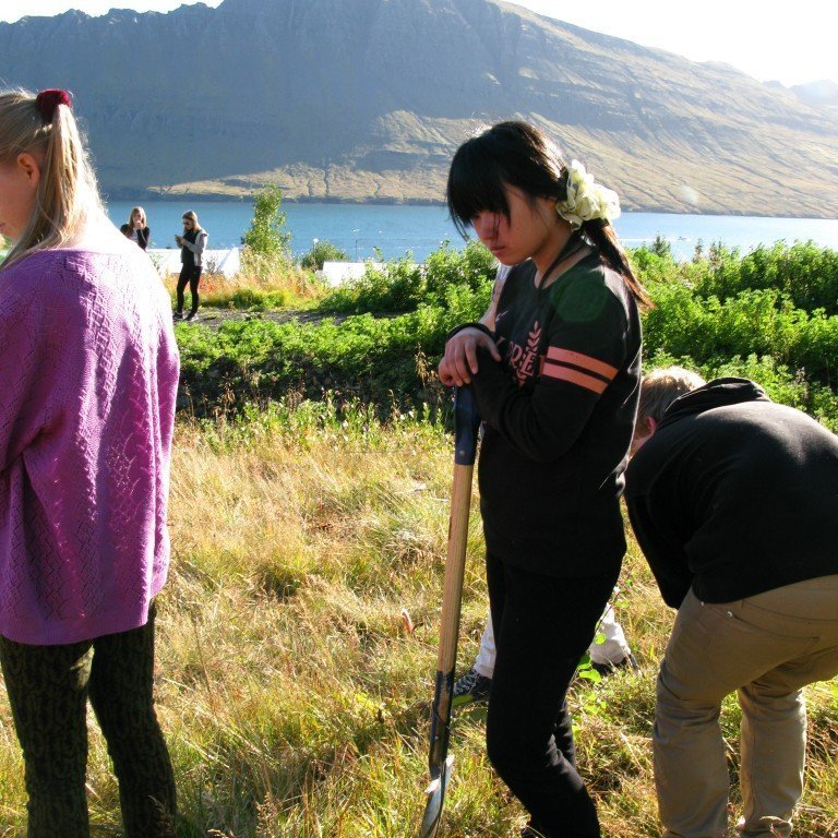 n-nema-gr-ursetning-2013-059