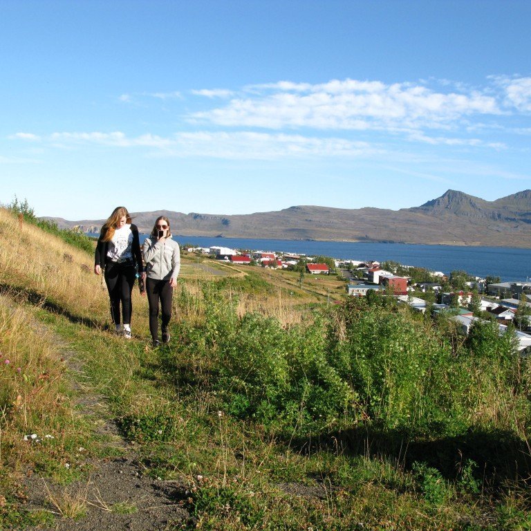 n-nema-gr-ursetning-2013-060