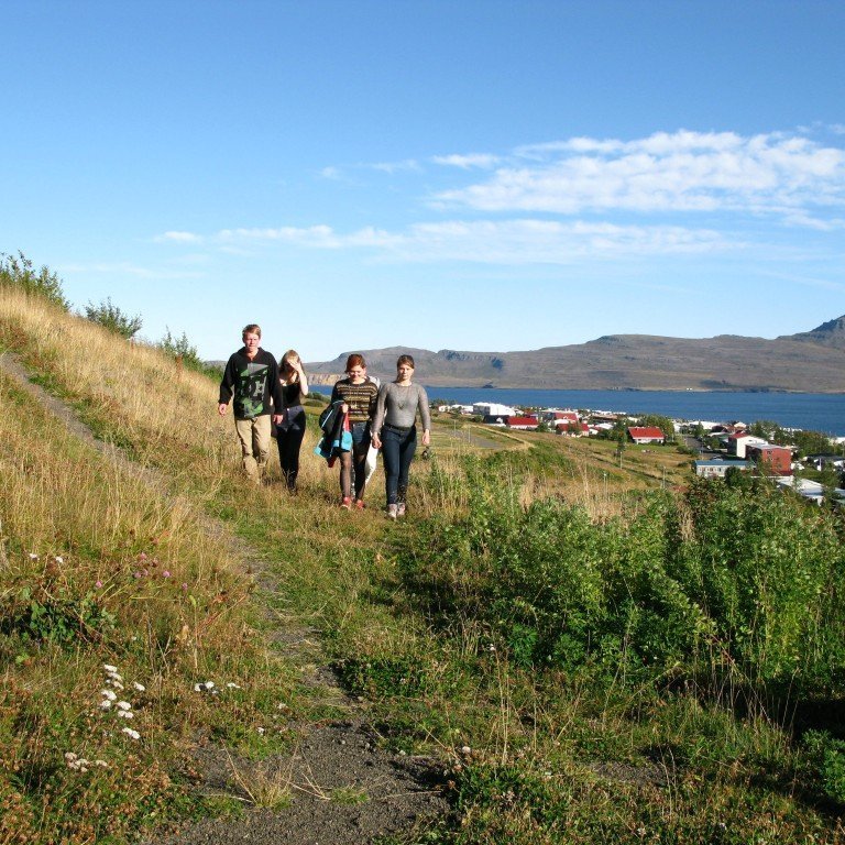 n-nema-gr-ursetning-2013-061