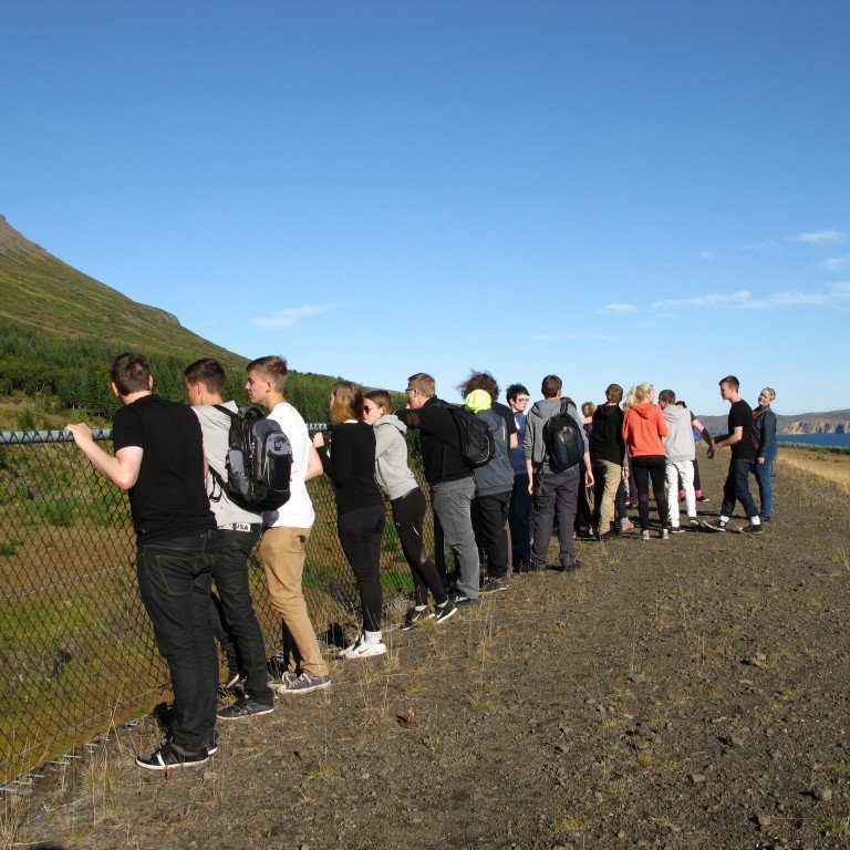 n-nema-gr-ursetning-2013-072