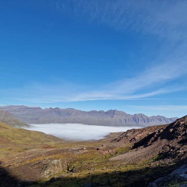 305334777_1546718799176363_6690895736505259892_n