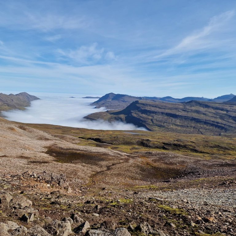 305522584_783300189388366_3621043733115035641_n