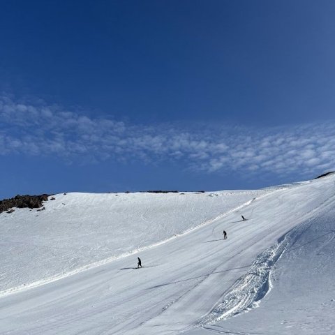 img_8363.jpg