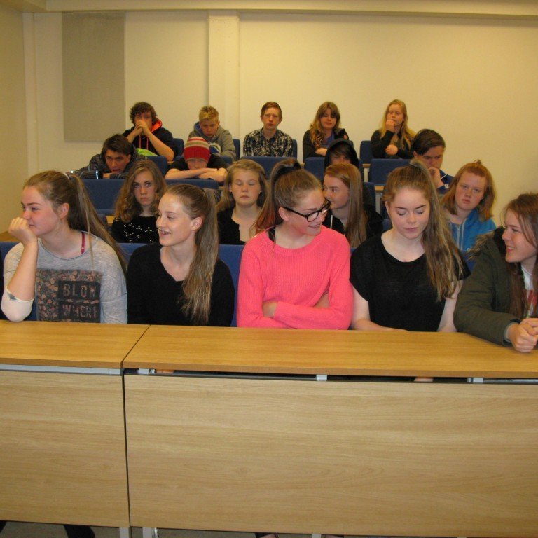 verkn-msvika-va-2014-001