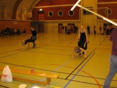 Velheppnuð menningarferð