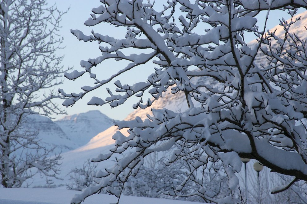 Námsmatssýning 18. desember