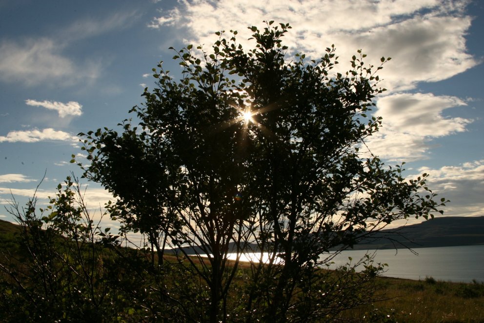 Dregið úr áfangamatspotti