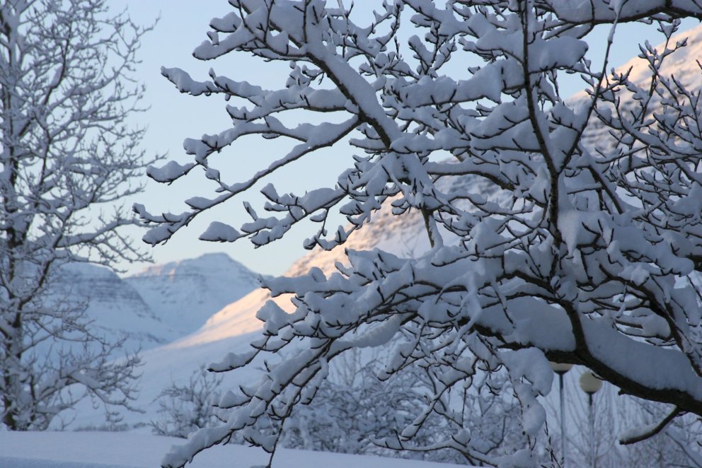 Upphaf vorannar 2024