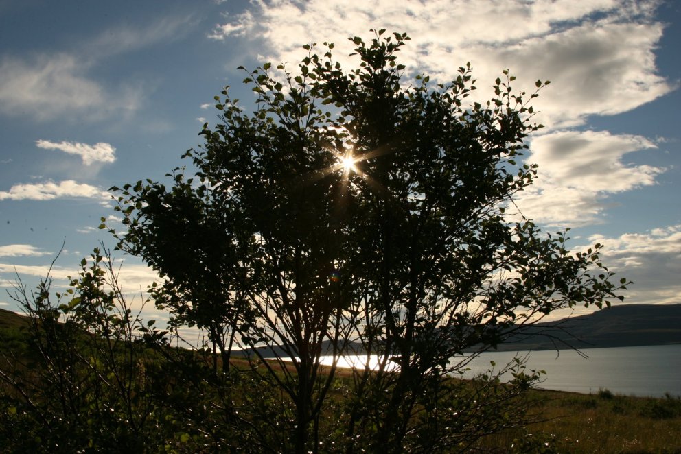 Skrifað undir samninga - Skólahald verður með hefðbundnum hætti á morgun, miðvikudaginn 26. febrúar
