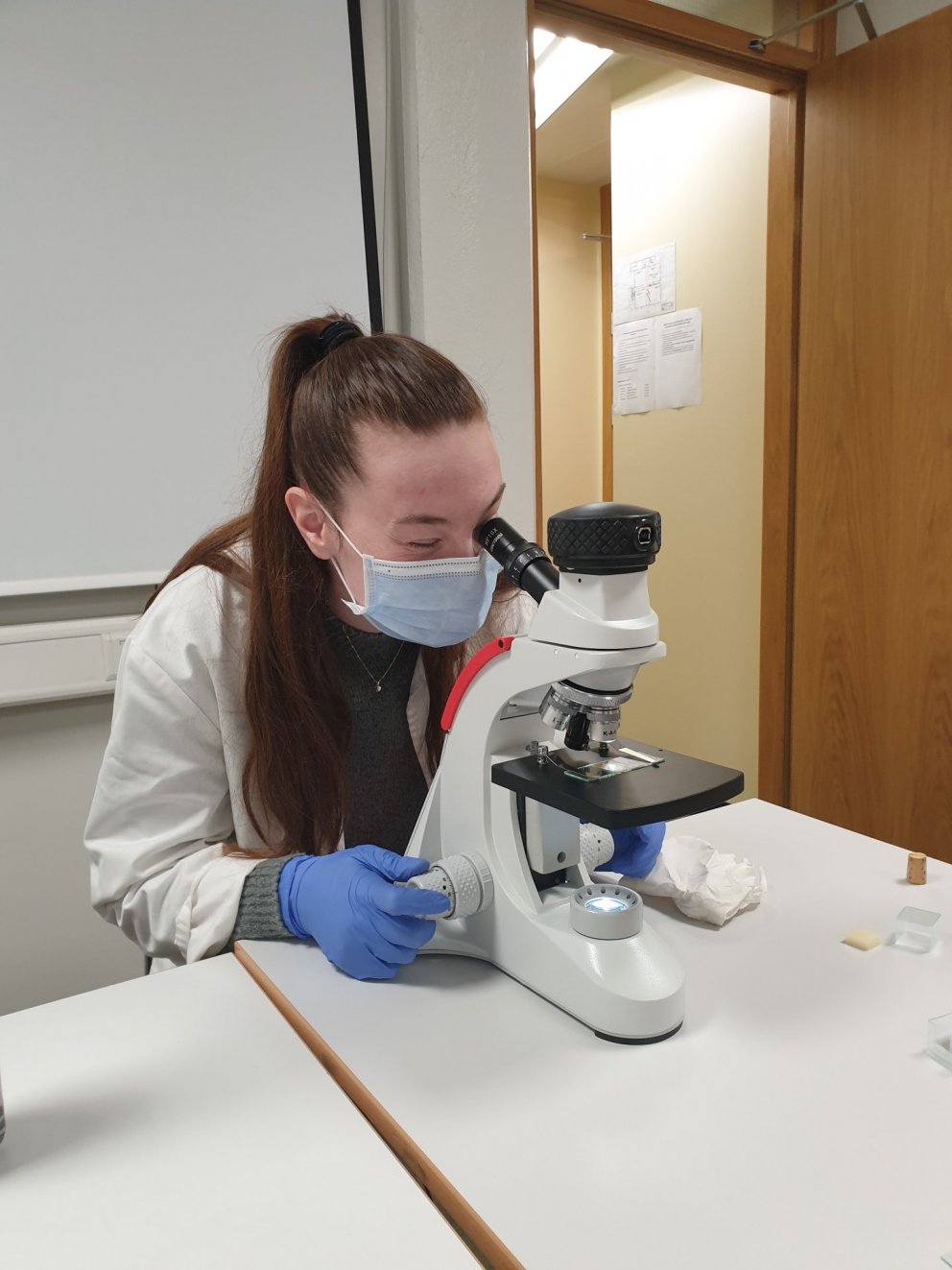 Verkleg tilraun í erfðafræði