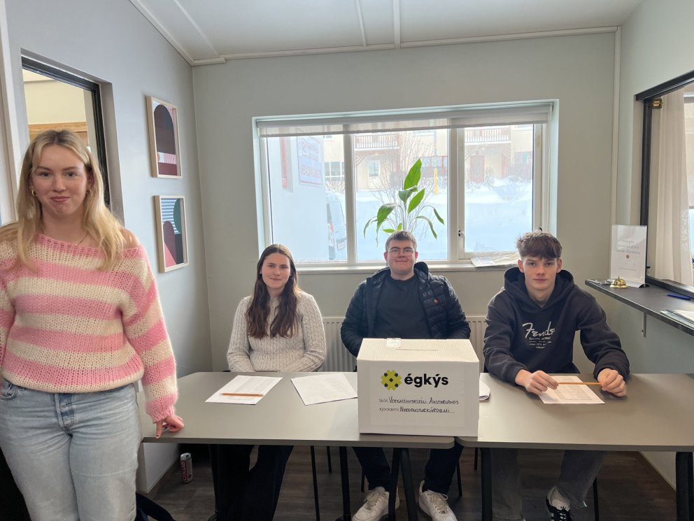 Lýðræðisvika og skuggakosningar