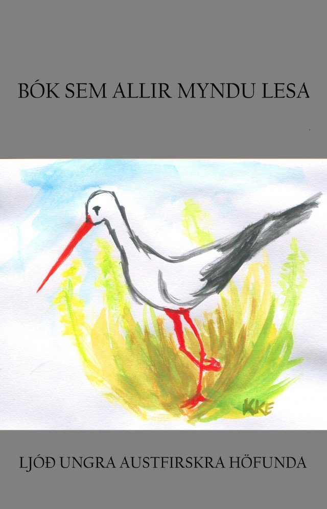 Bók sem allir myndu lesa