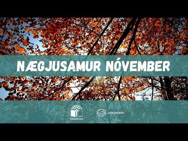 Nægjusamur nóvember