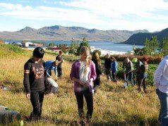 Gróðursetning hjá nýnemum