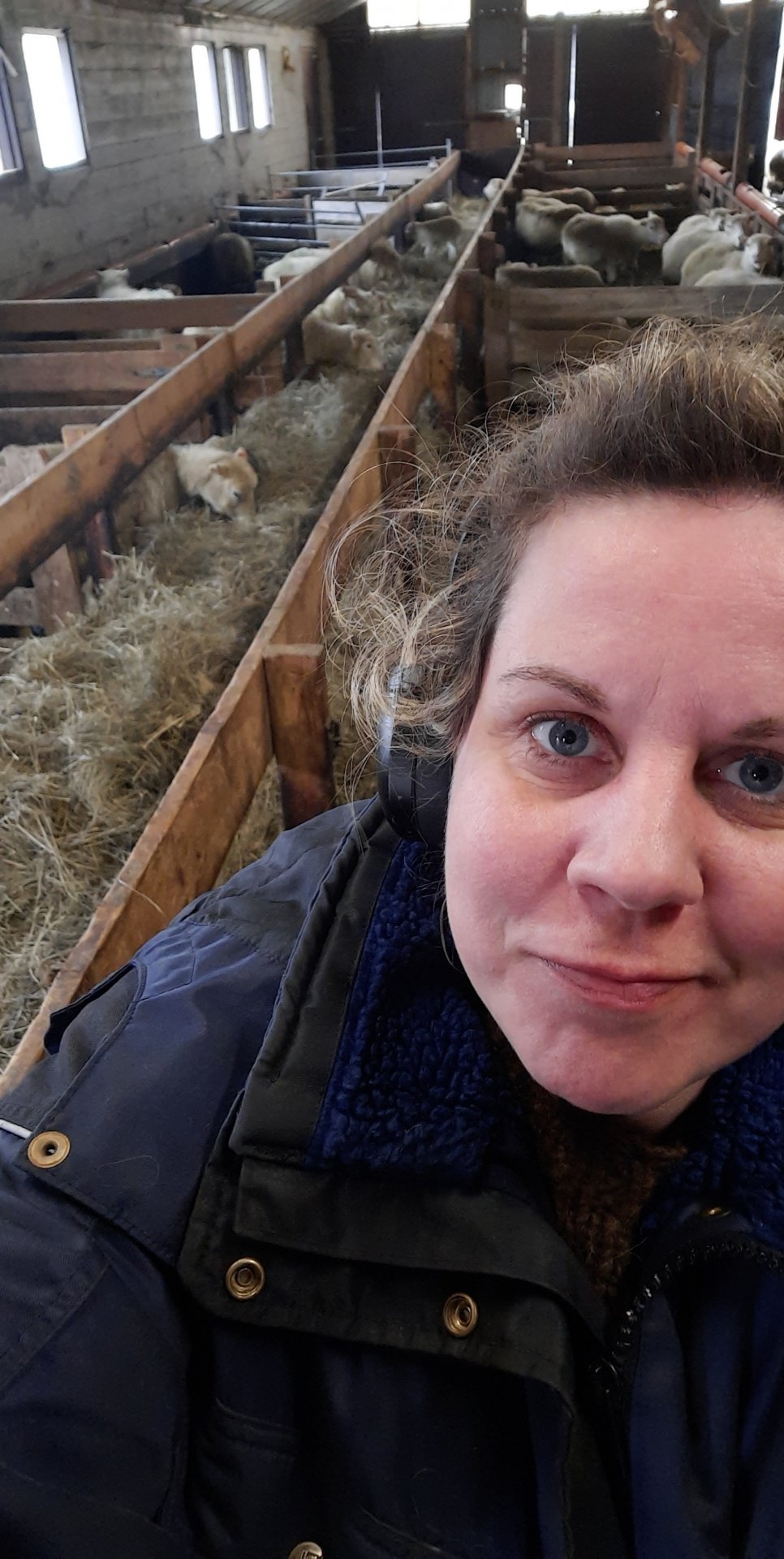 Brautskráning í fjárhúsinu