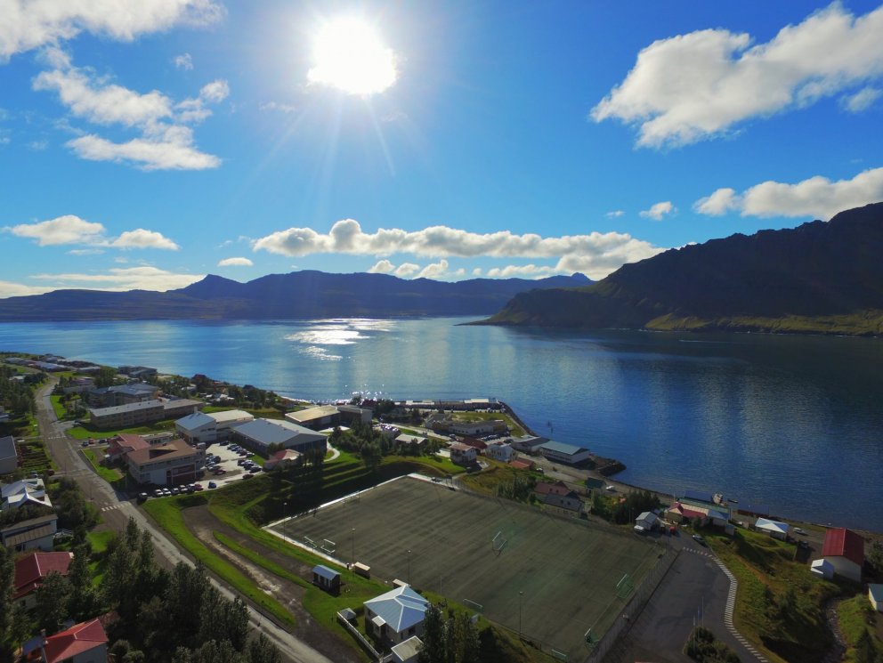 Kynning fyrir forsjáraðila