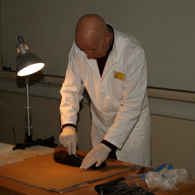 Tæknidagur fjölskyldunnar 2015: