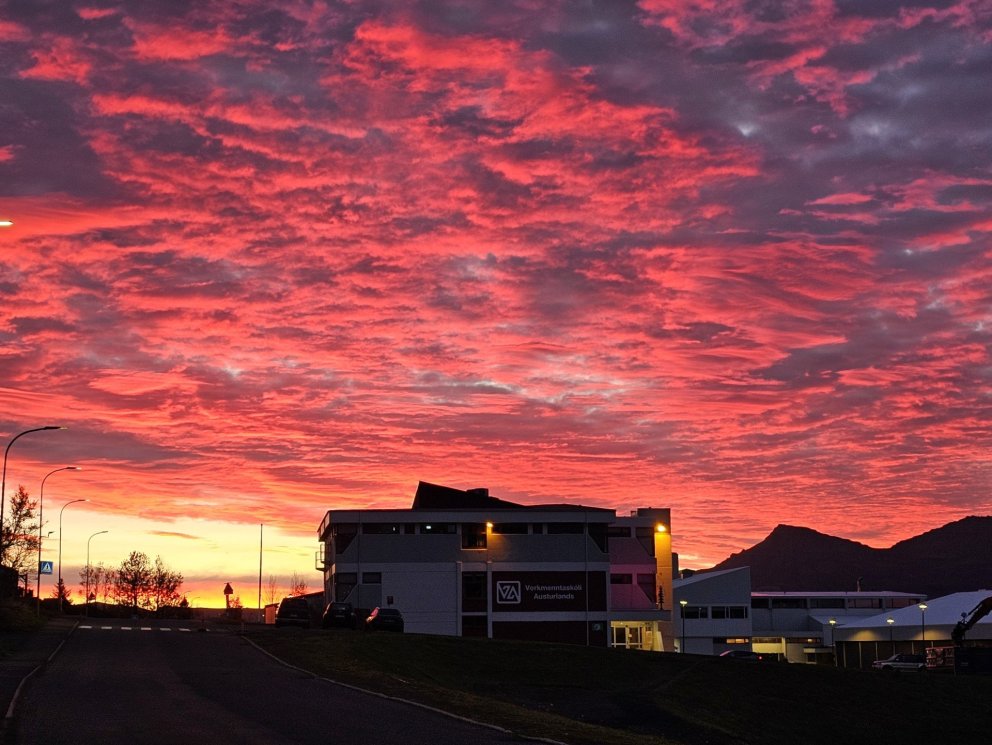 Líf og fjör í vikunni
