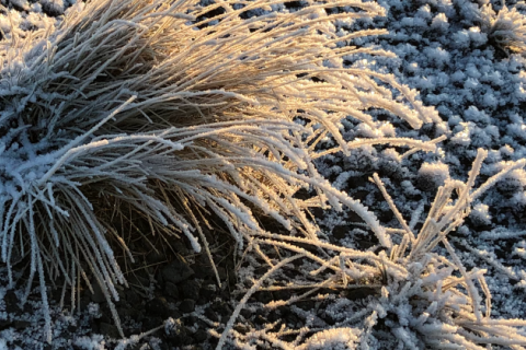 Lausnir í breyttum aðstæðum - mikilvægar upplýsingar