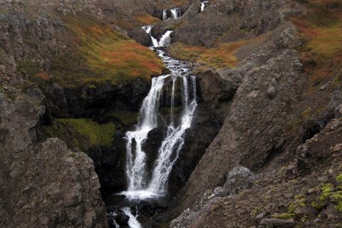 Aukið aðgengi að heimasíðu VA