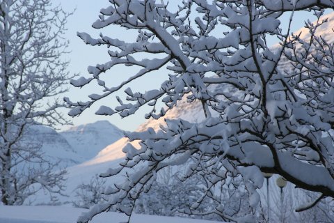 Skólahaldi í VA aflýst á morgun, miðvikudaginn 29. mars